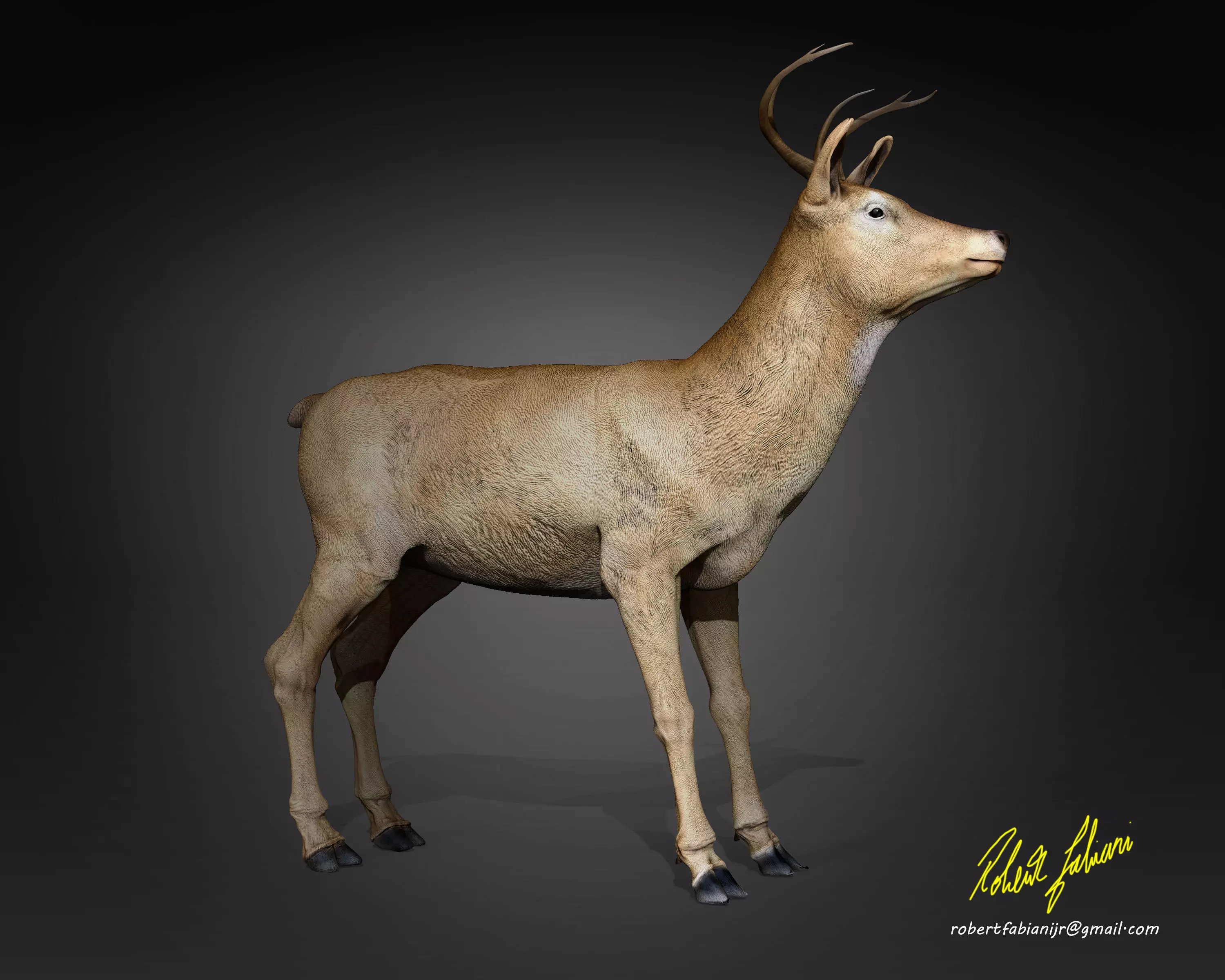 A Deer - person Low-poly 3D model_0