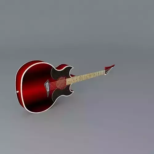 Modern acoustic guitar
