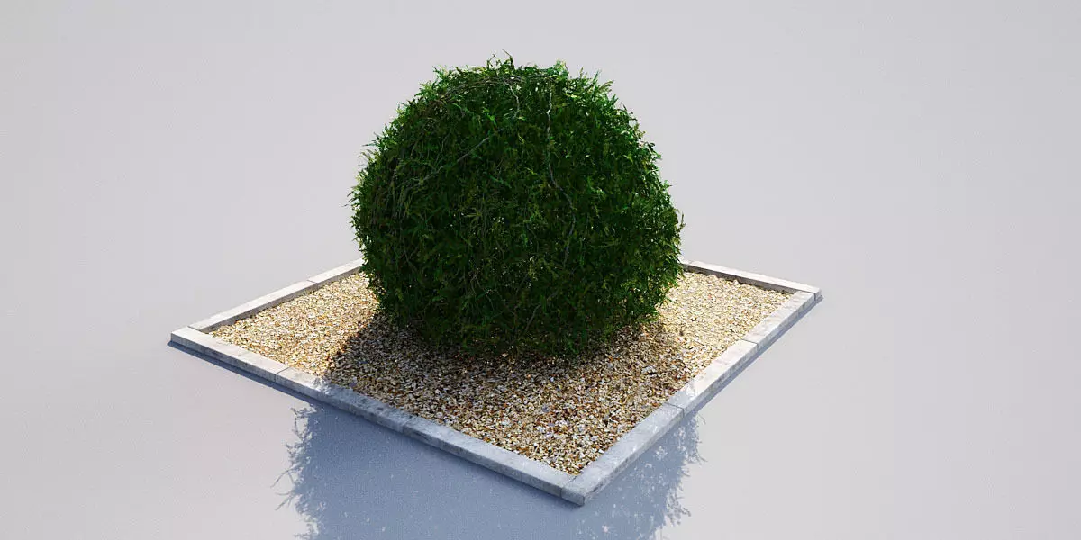 hedge 17-05 AM148 3D model_0