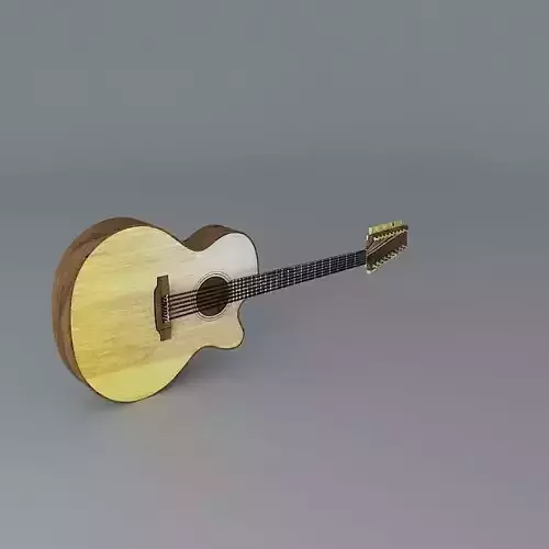 18 string acoustic guitar