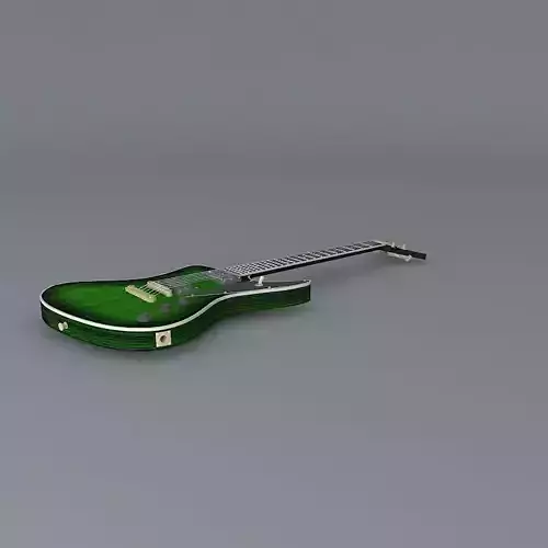 Robin Fleetwood Special guitar