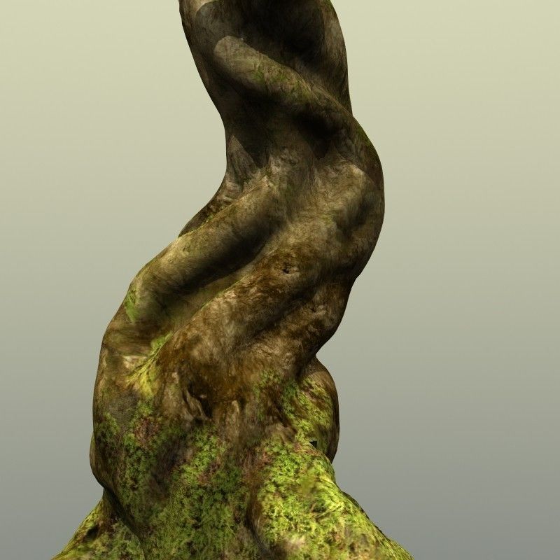 Crooked Mossy Tree 3D model_2