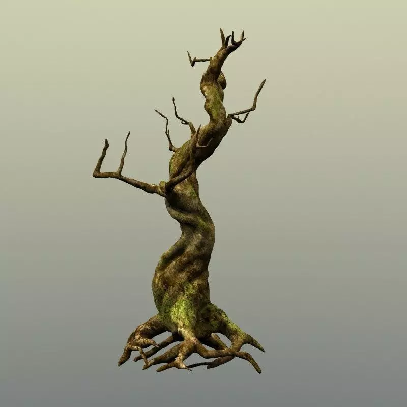 Crooked Mossy Tree 3D model_0