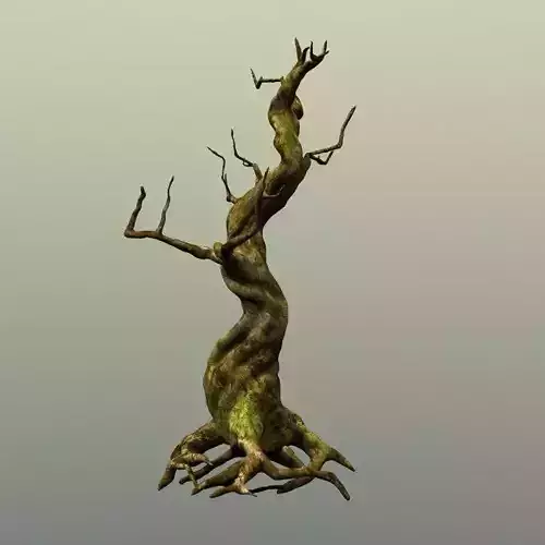 Crooked Mossy Tree 3D model