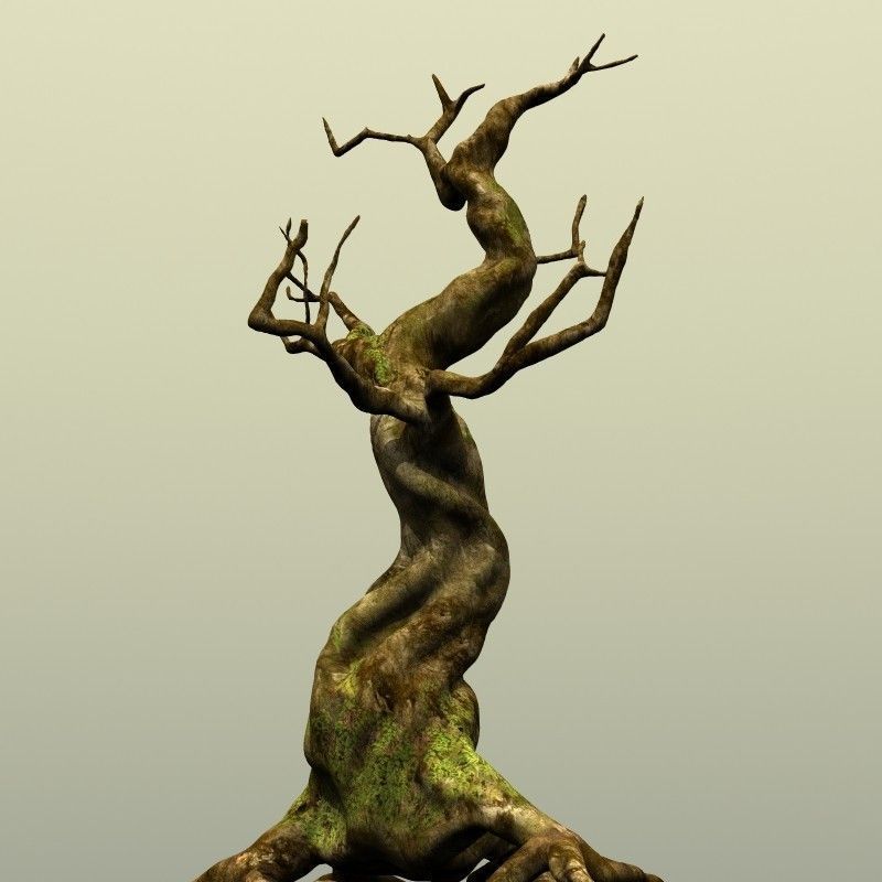 Crooked Mossy Tree 3D model_8