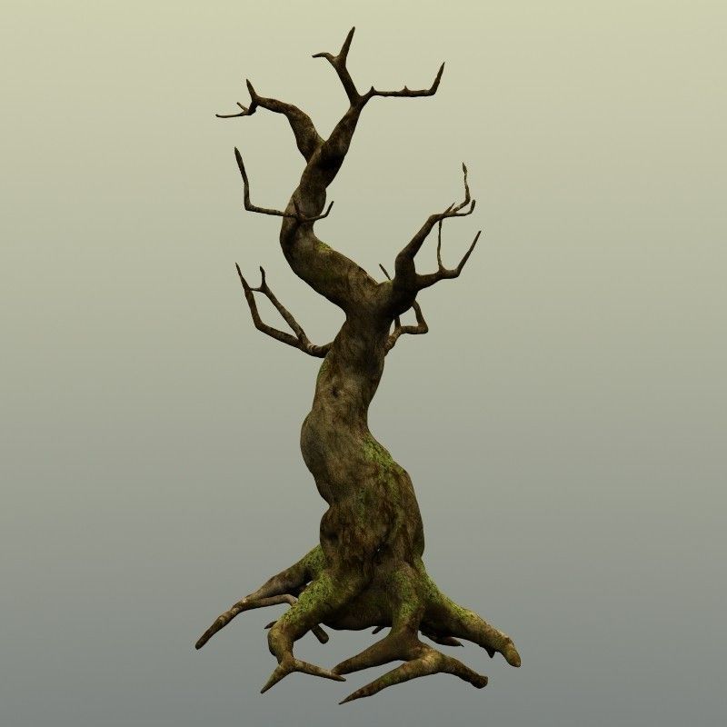 Crooked Mossy Tree 3D model_7