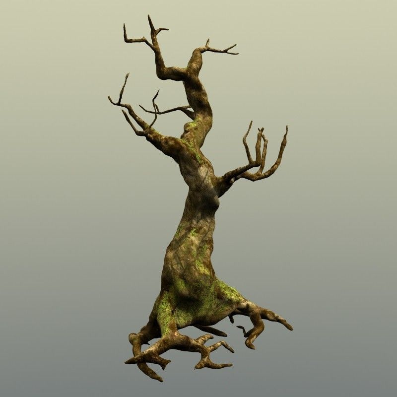 Crooked Mossy Tree 3D model_6