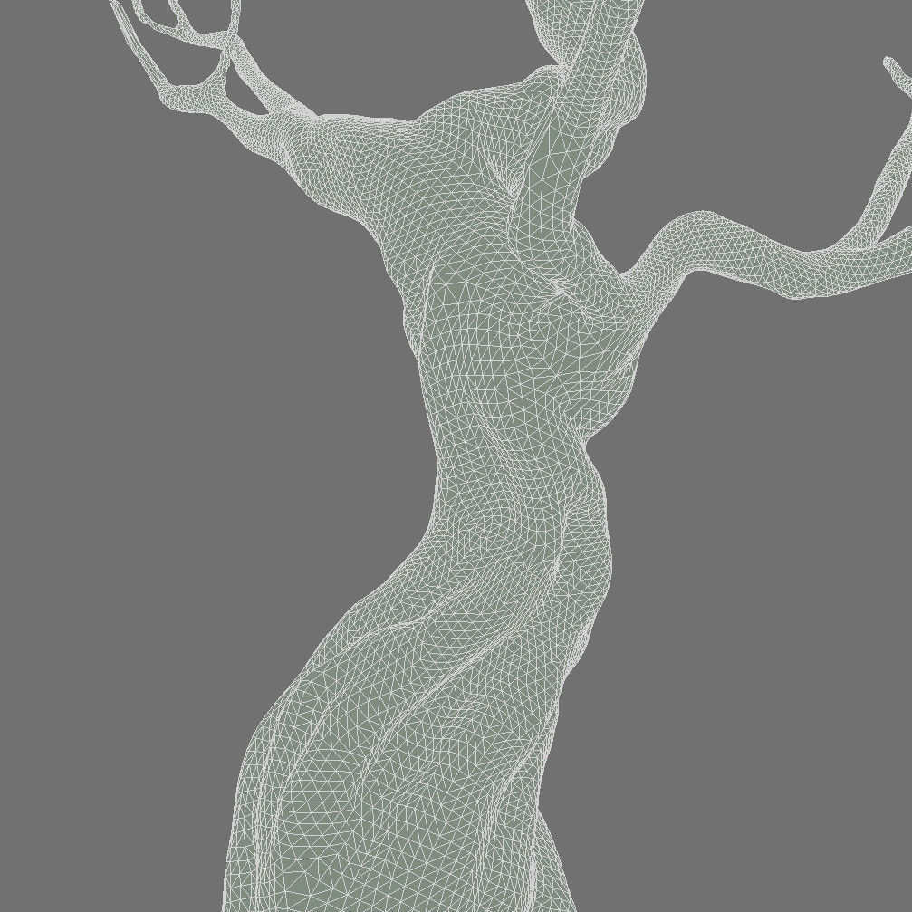 Crooked Mossy Tree 3D model_3