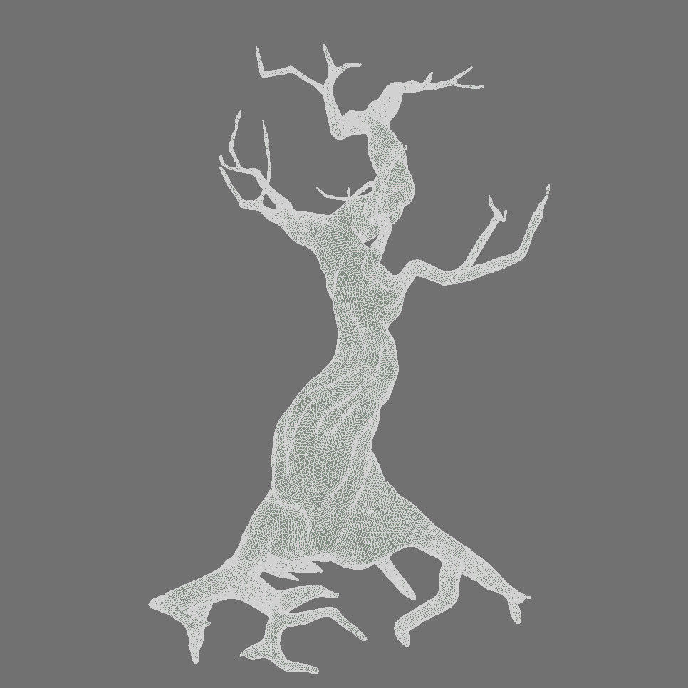 Crooked Mossy Tree 3D model_5