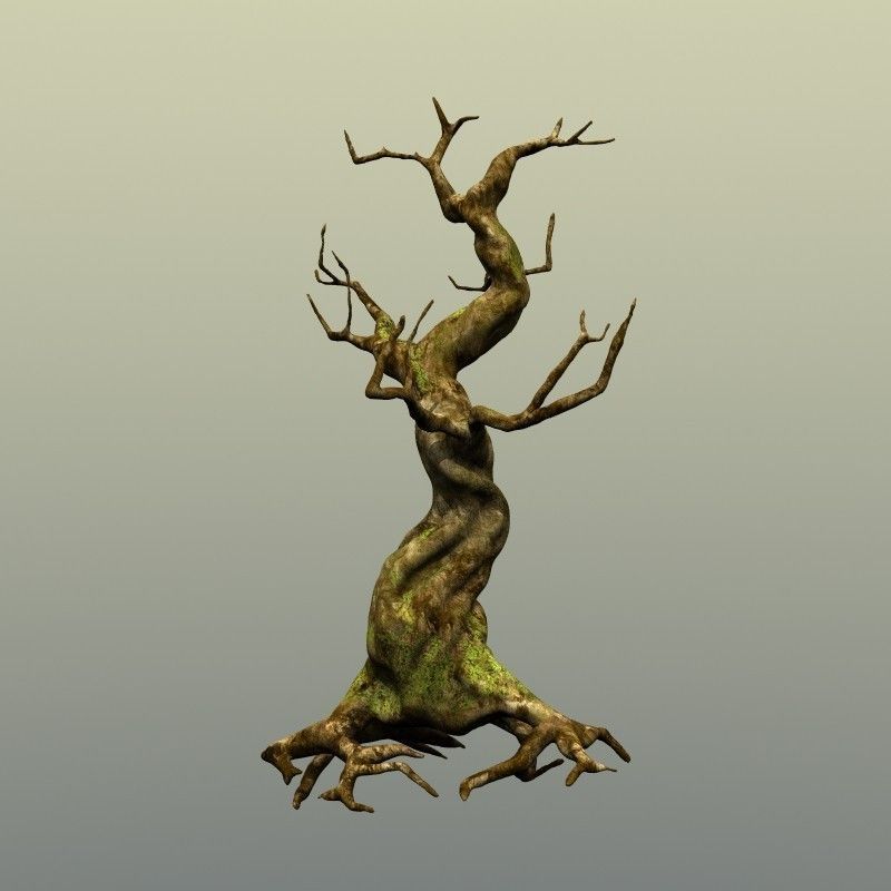 Crooked Mossy Tree 3D model_1