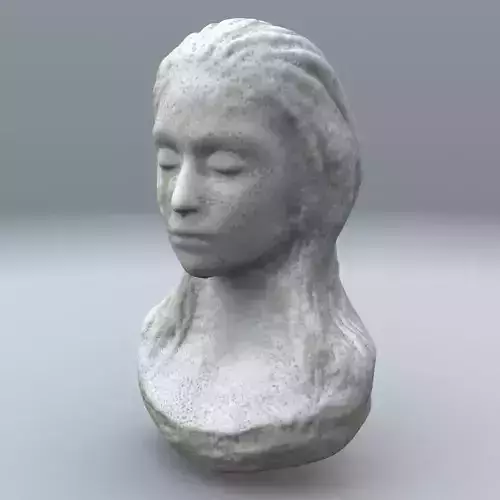 Female Bust sculture