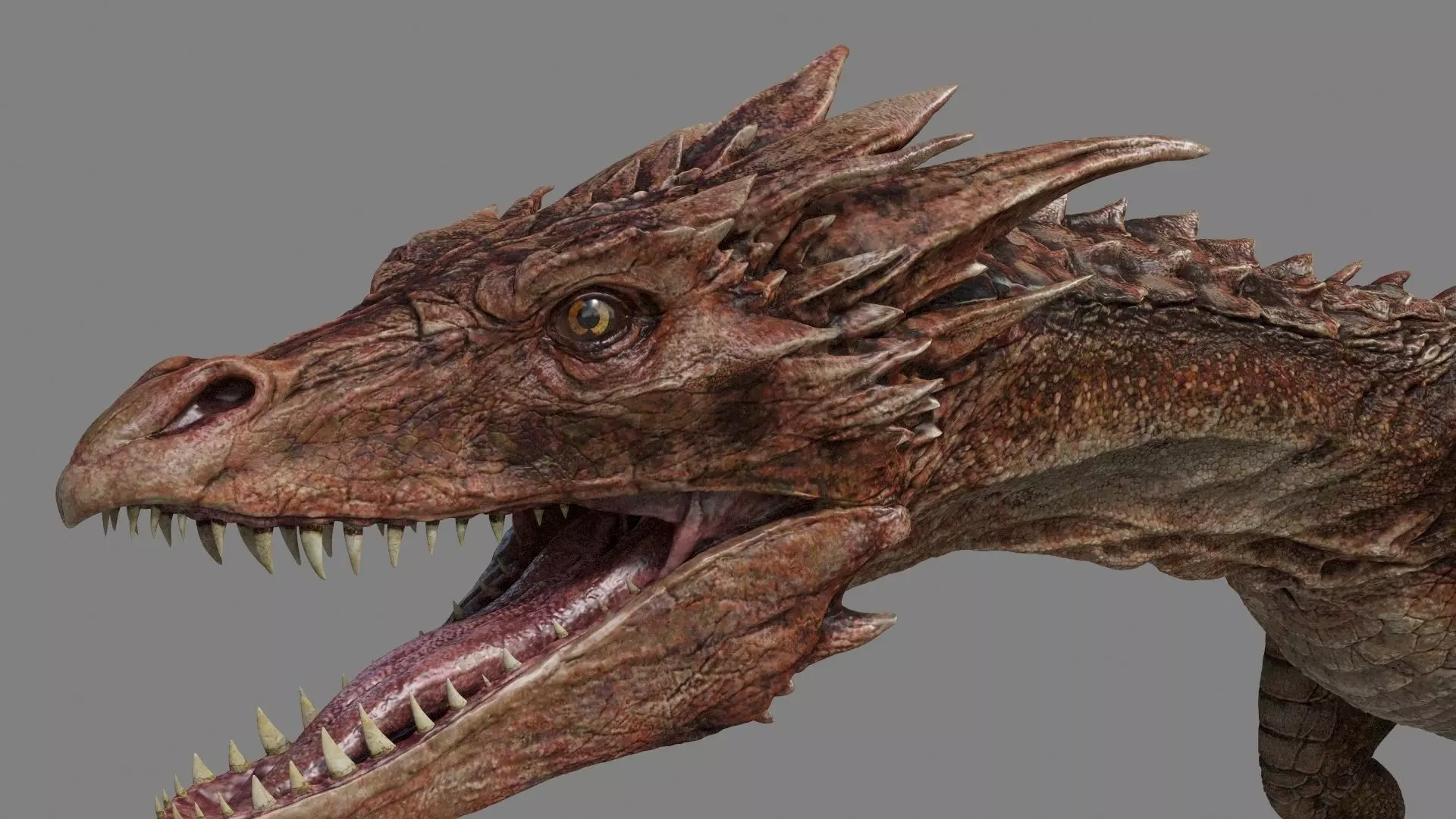 Dragon 3D model_0