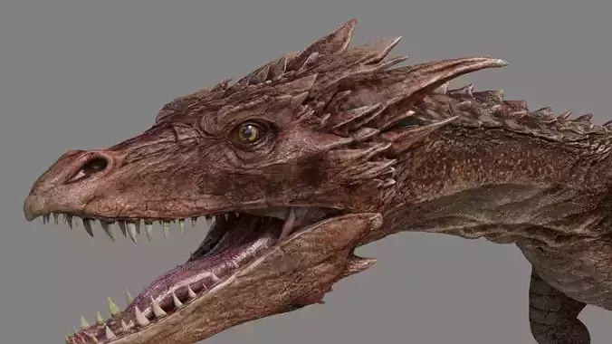 Dragon 3D model