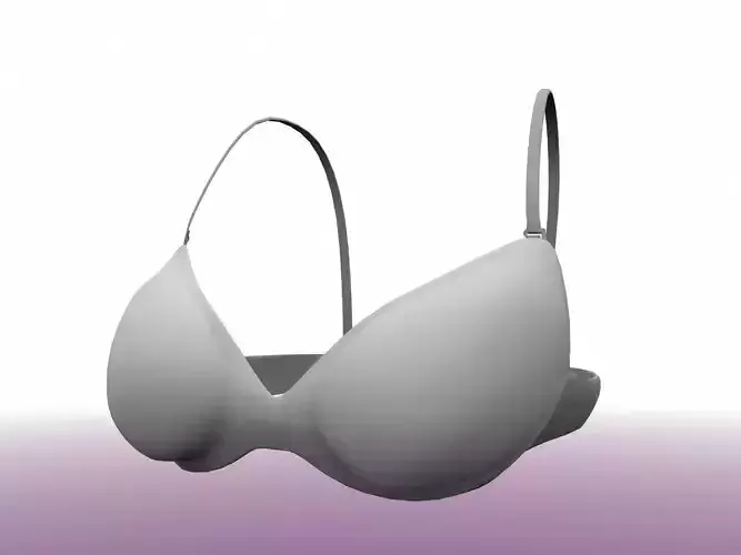 Brassiere bra 3D model