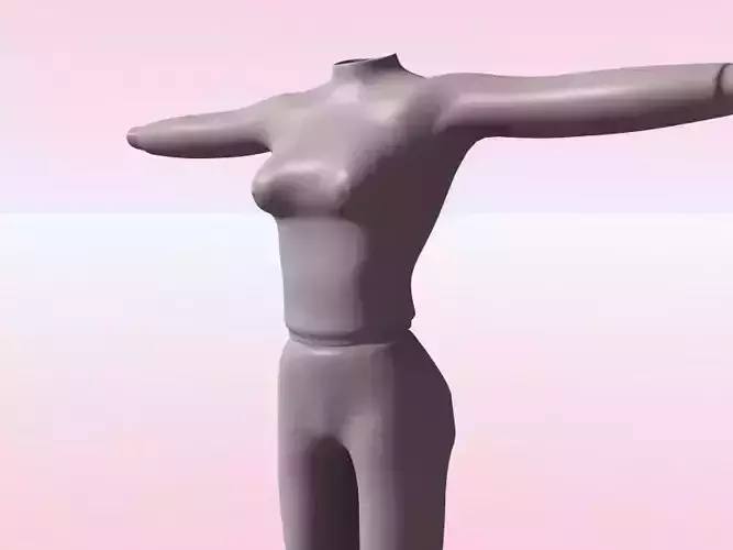 Sexy Training Wear for Women