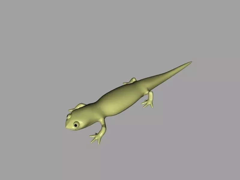 Cartoony Lizard 3D model_0