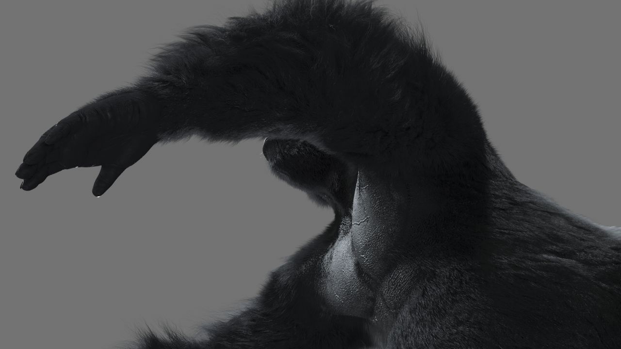 Gorilla-maya gorilla 3D model_3