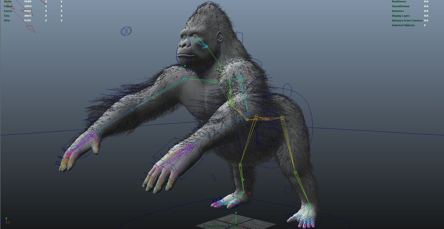 Gorilla-maya gorilla 3D model_7
