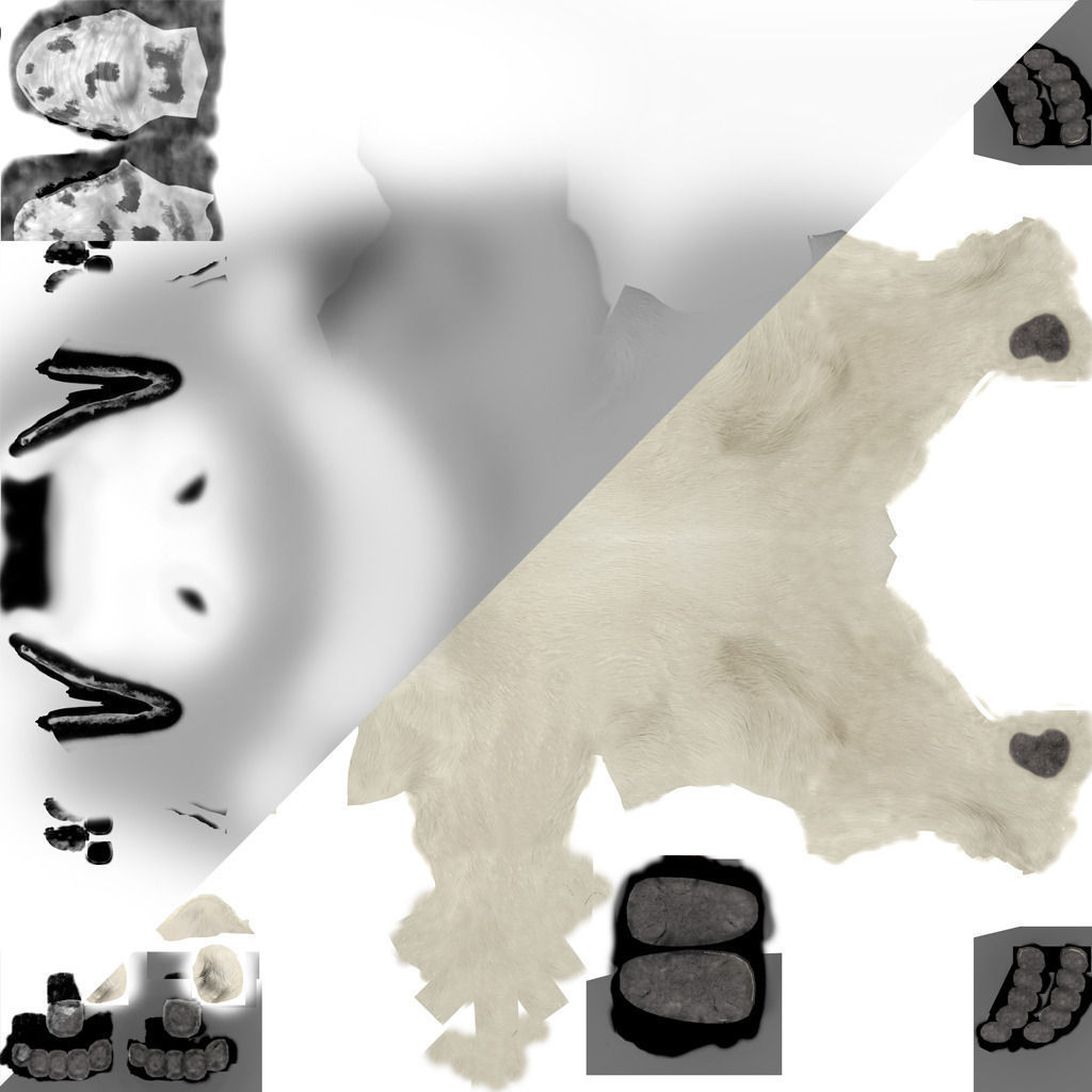 Bear-polar-maya polar bear 3D model_4