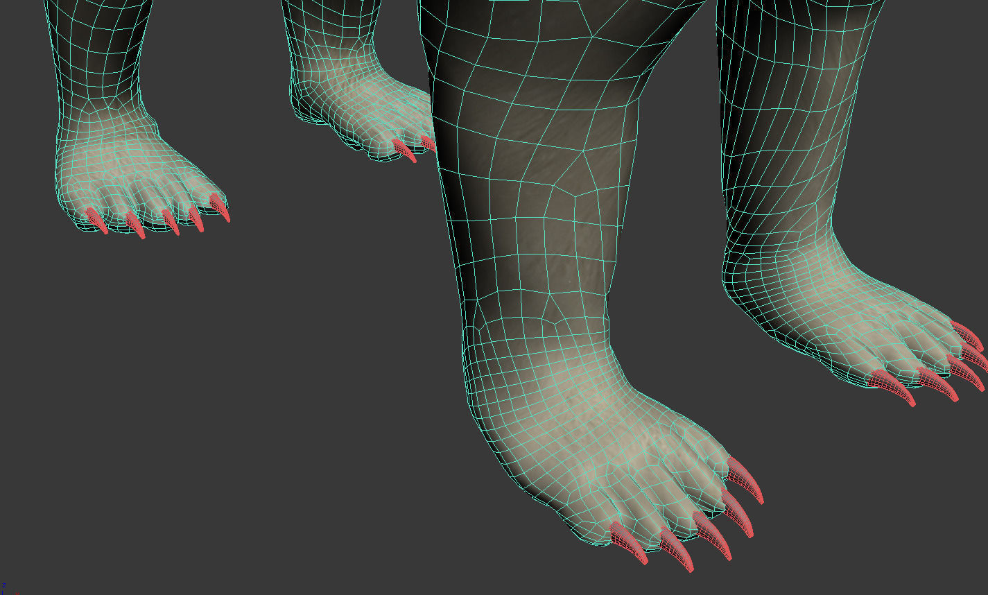 Bear-polar-maya polar bear 3D model_6