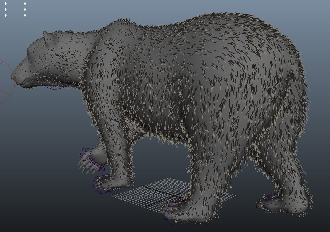 Bear-polar-maya polar bear 3D model_1