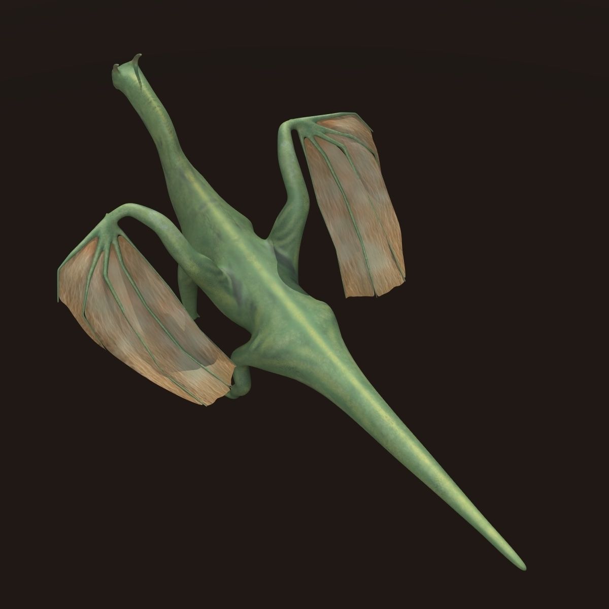 Friendly Dragon 3D model_4