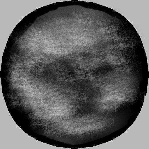 Money Flower 3D model_4