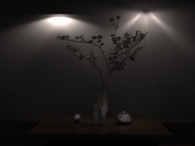 Money Flower 3D model_1