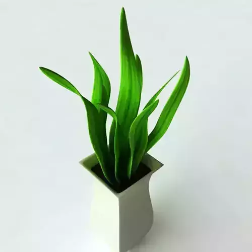 Potted Plant-2 3D model