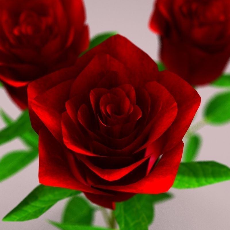 Realistic Rose 3D model_5