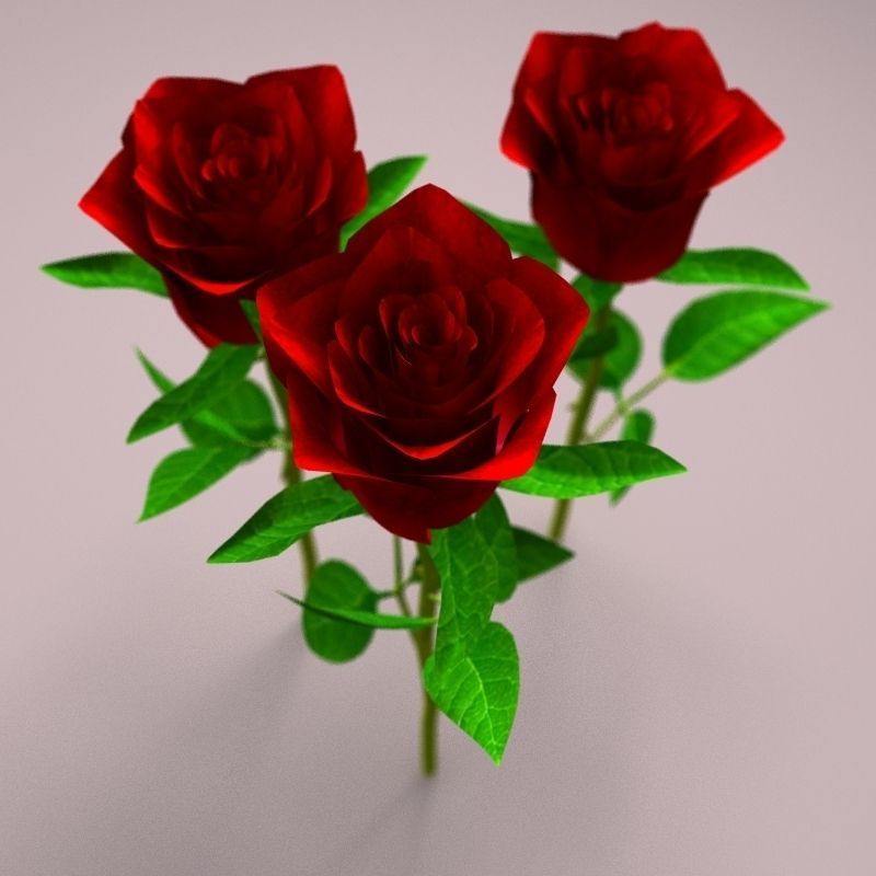 Realistic Rose 3D model_3