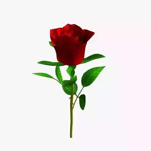 Realistic Rose 3D model