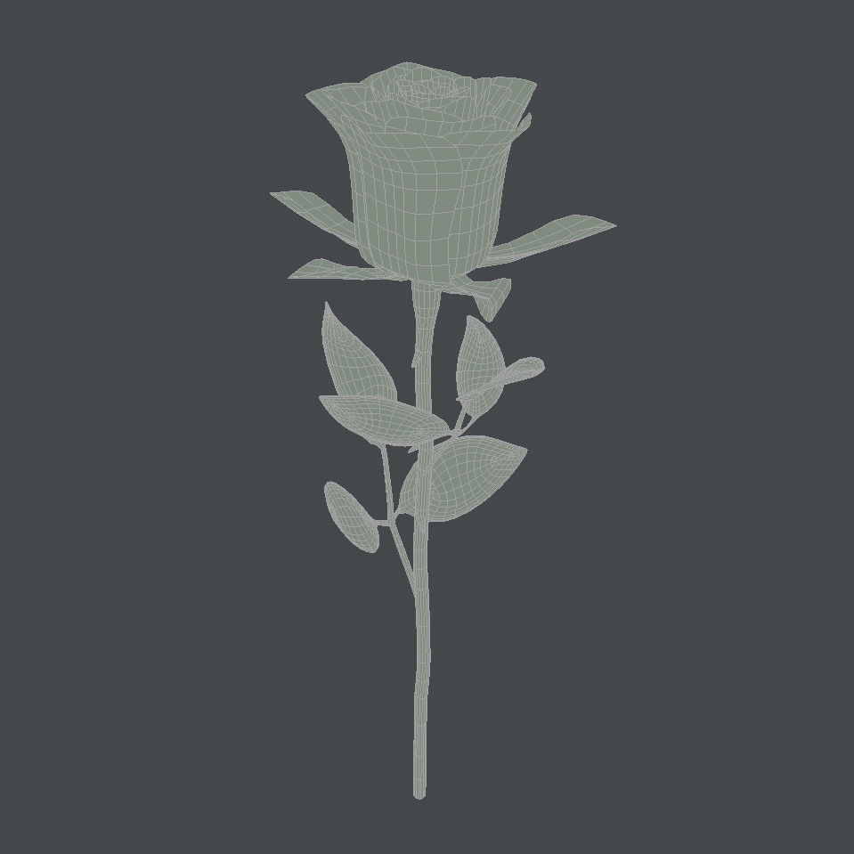 Realistic Rose 3D model_6