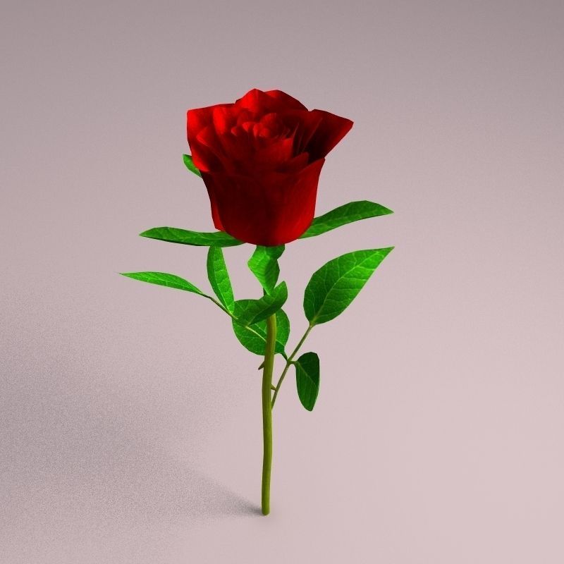 Realistic Rose 3D model_1
