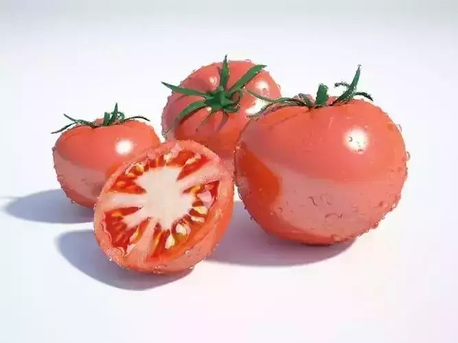 Tomato 3D model