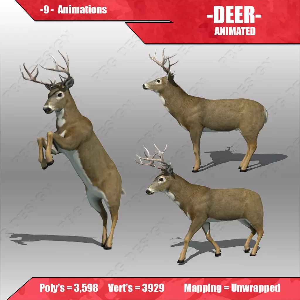 Deer Animated Low-poly 3D model_0