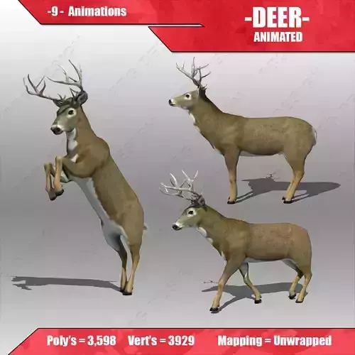 Deer Animated Low-poly 3D model