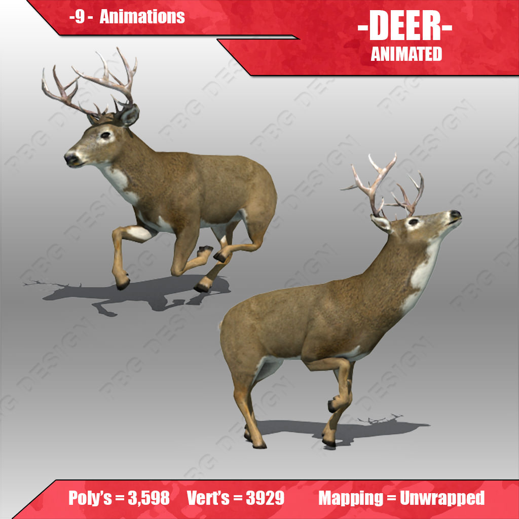 Deer Animated Low-poly 3D model_1