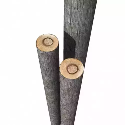 Log two logs of wood