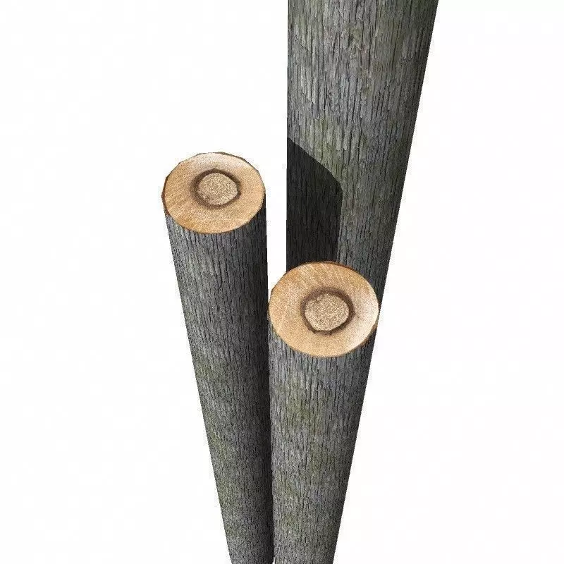 Log two logs of wood 3D model