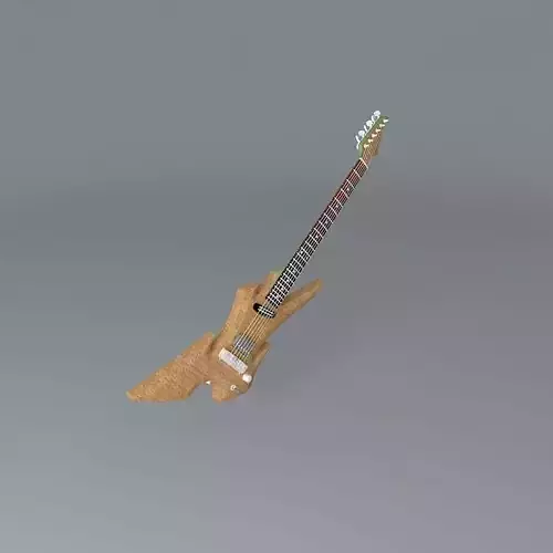 Radical Explorer designed guitar