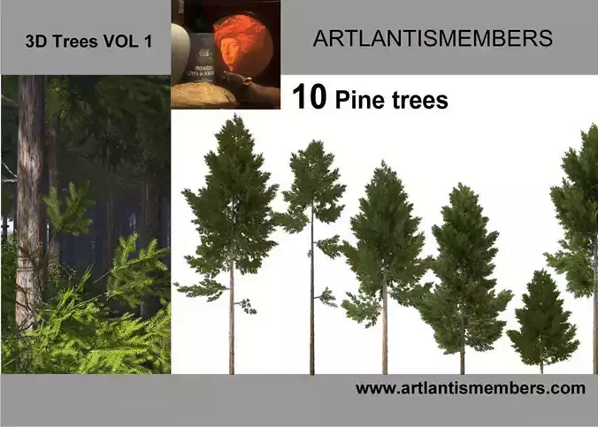 pine tree collection 2 3D model