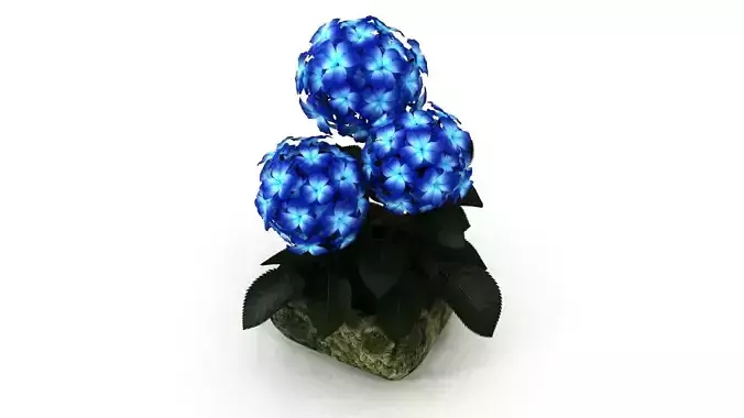 Blue Flower in Stone Pot
