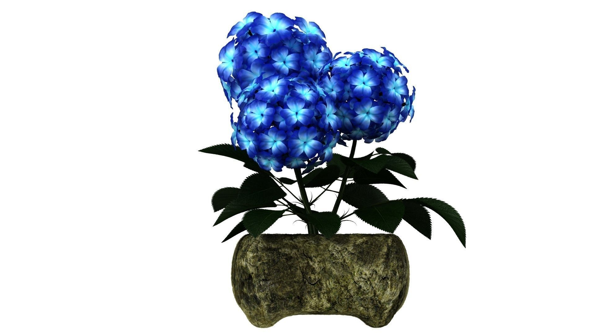 Blue Flower in Stone Pot Low-poly 3D model_2