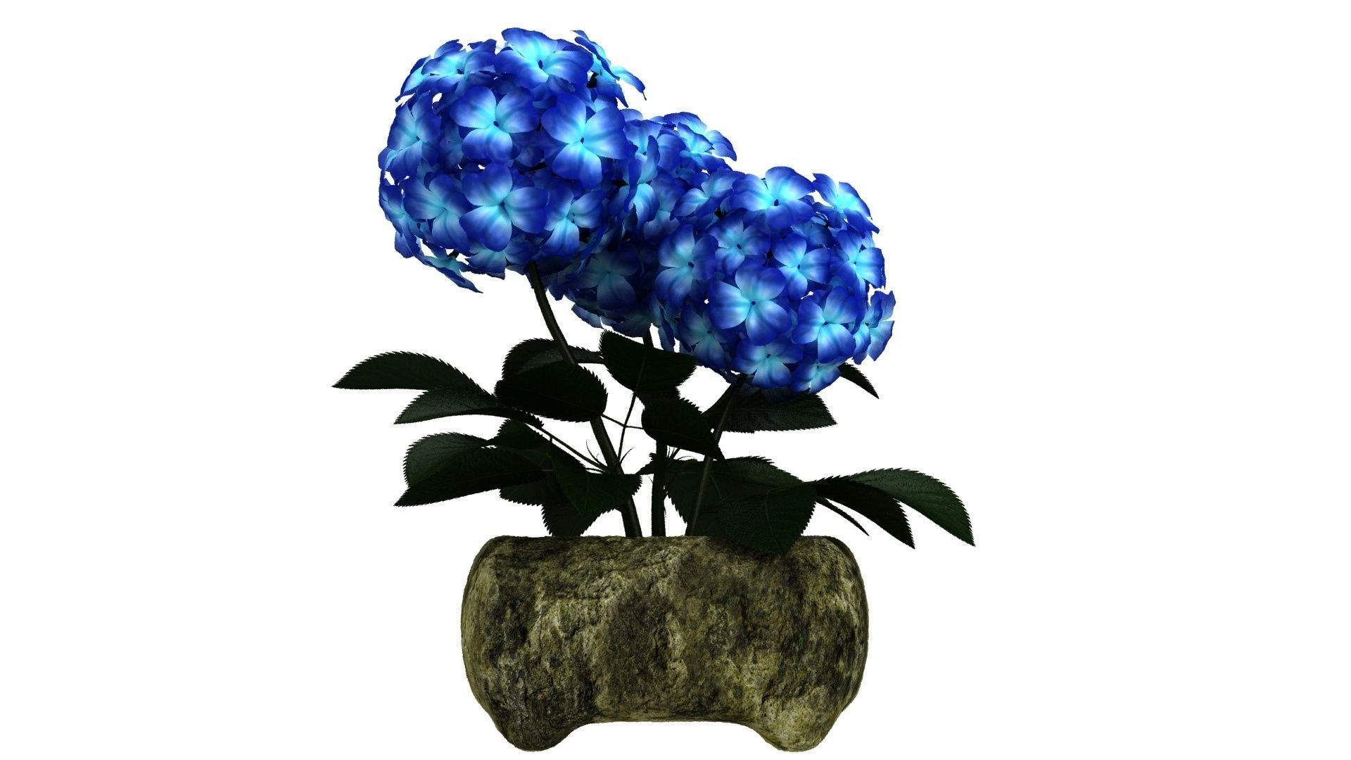 Blue Flower in Stone Pot Low-poly 3D model_3