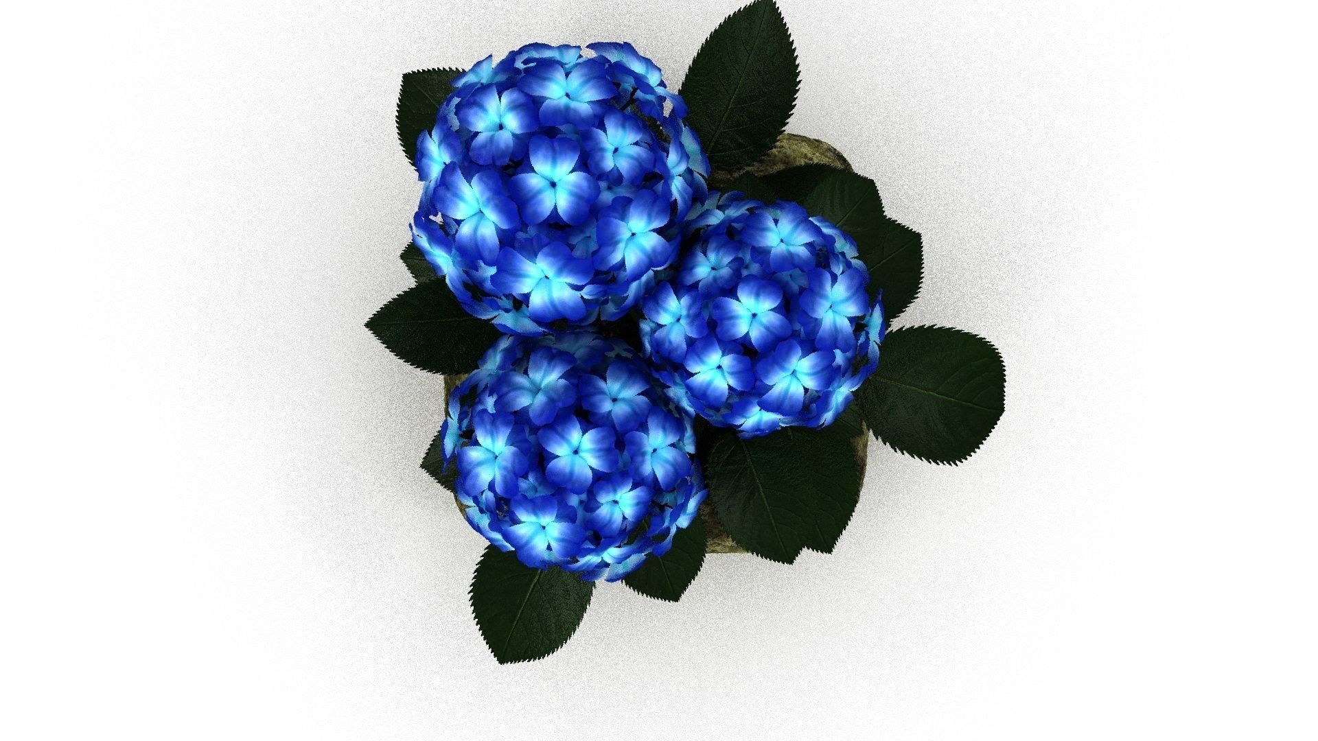 Blue Flower in Stone Pot Low-poly 3D model_1