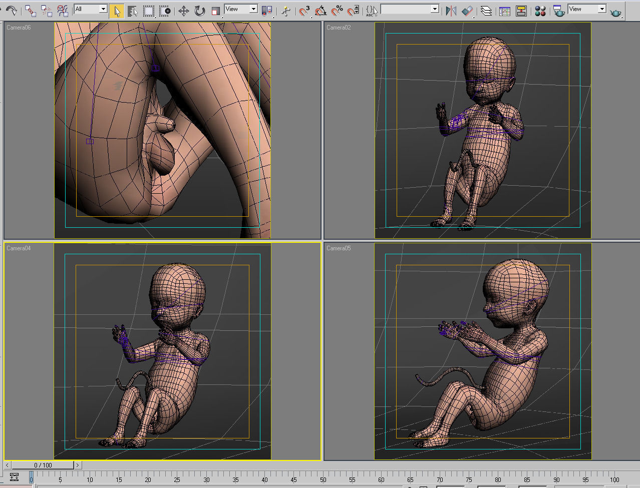 Anatomy fetus 3D model_16