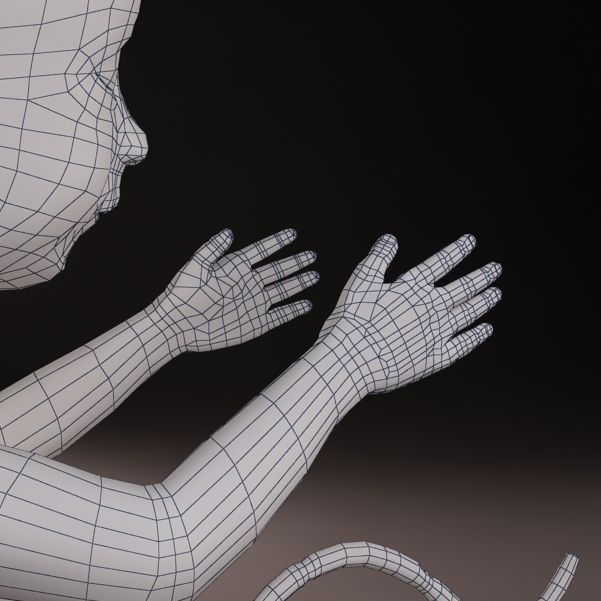 Anatomy fetus 3D model_13