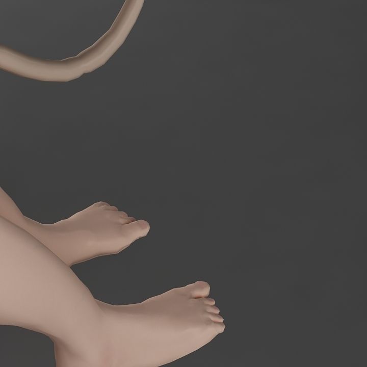 Anatomy fetus 3D model_8
