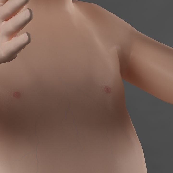 Anatomy fetus 3D model_11